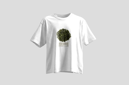 Tee — Green GABA Oolong