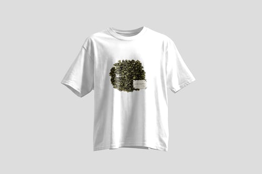 Tee — Ginseng Oolong