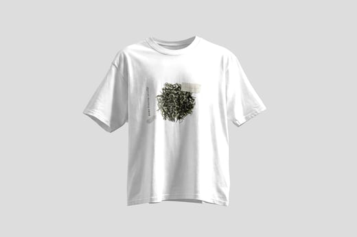 Tee — Yunnan Mao Feng Green Tea