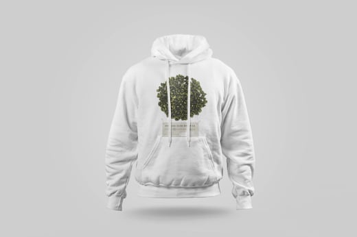 Hoodie — Green GABA Oolong